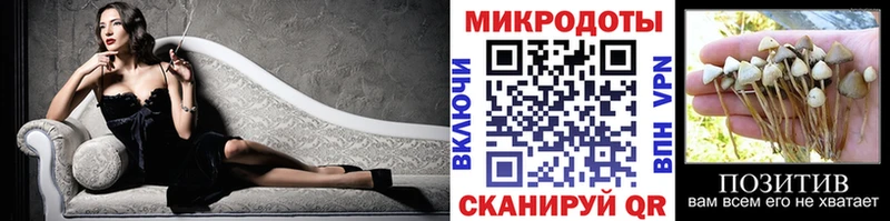 Галлюциногенные грибы мухоморы  Нестеровская 